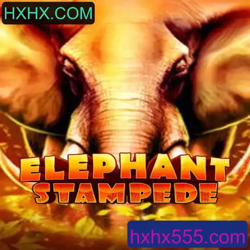 ElephantStampede: O Novo Jogo Emocionante de HXHX.COM